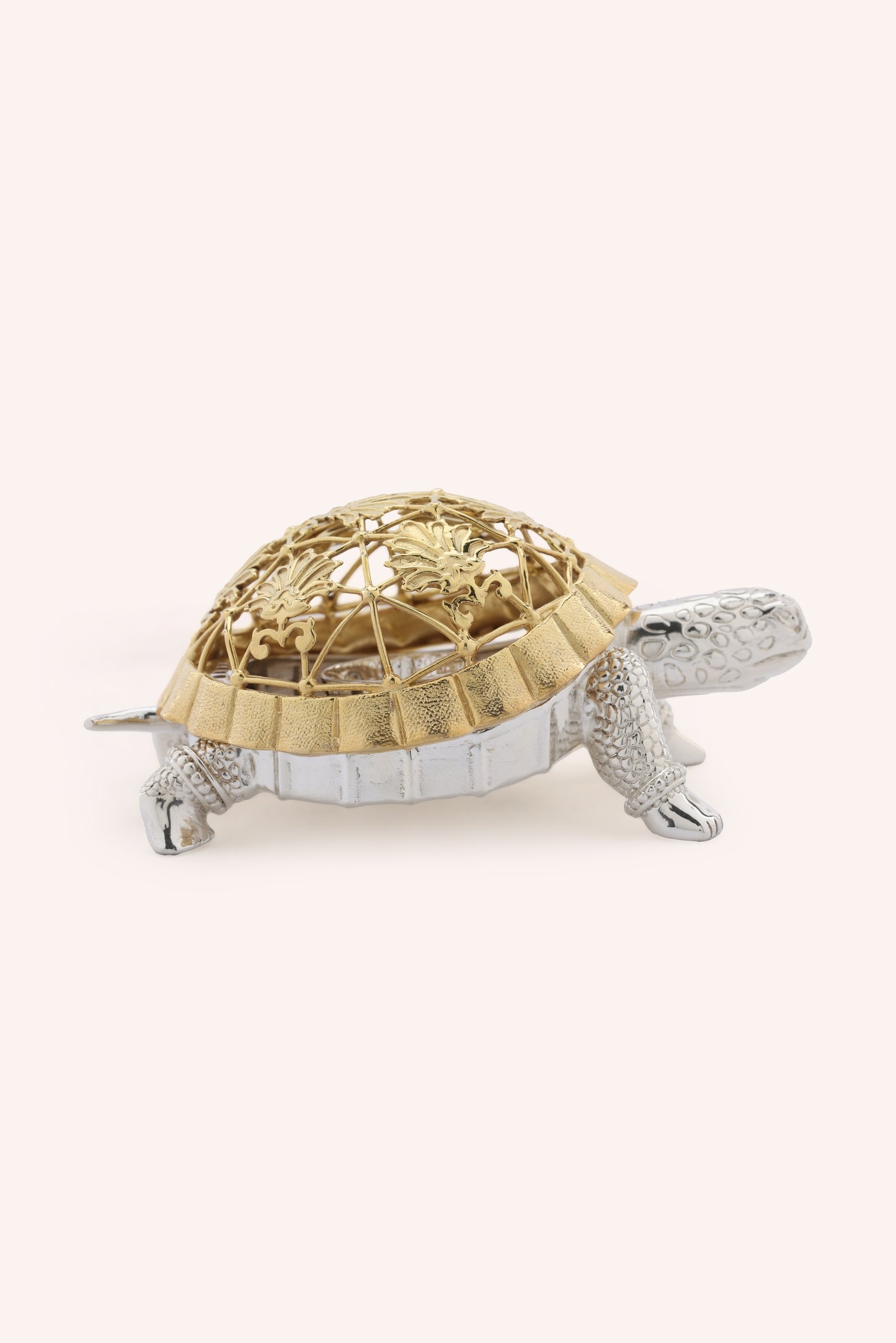 Kurm Tortoise Dhoop Dani