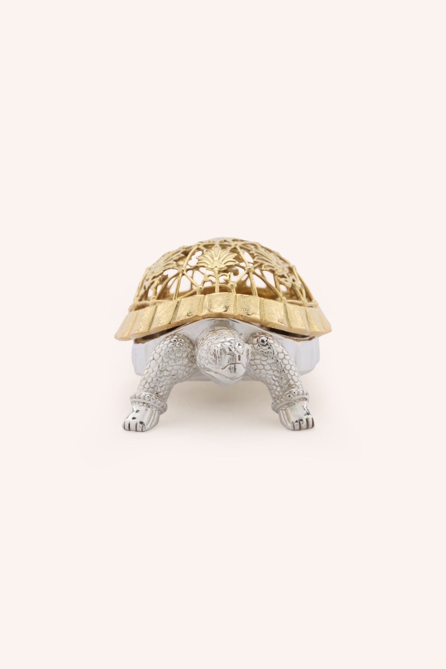 Kurm Tortoise Dhoop Dani