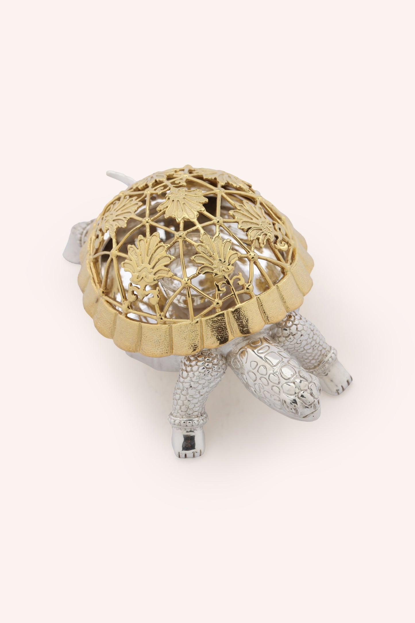 Kurm Tortoise Dhoop Dani