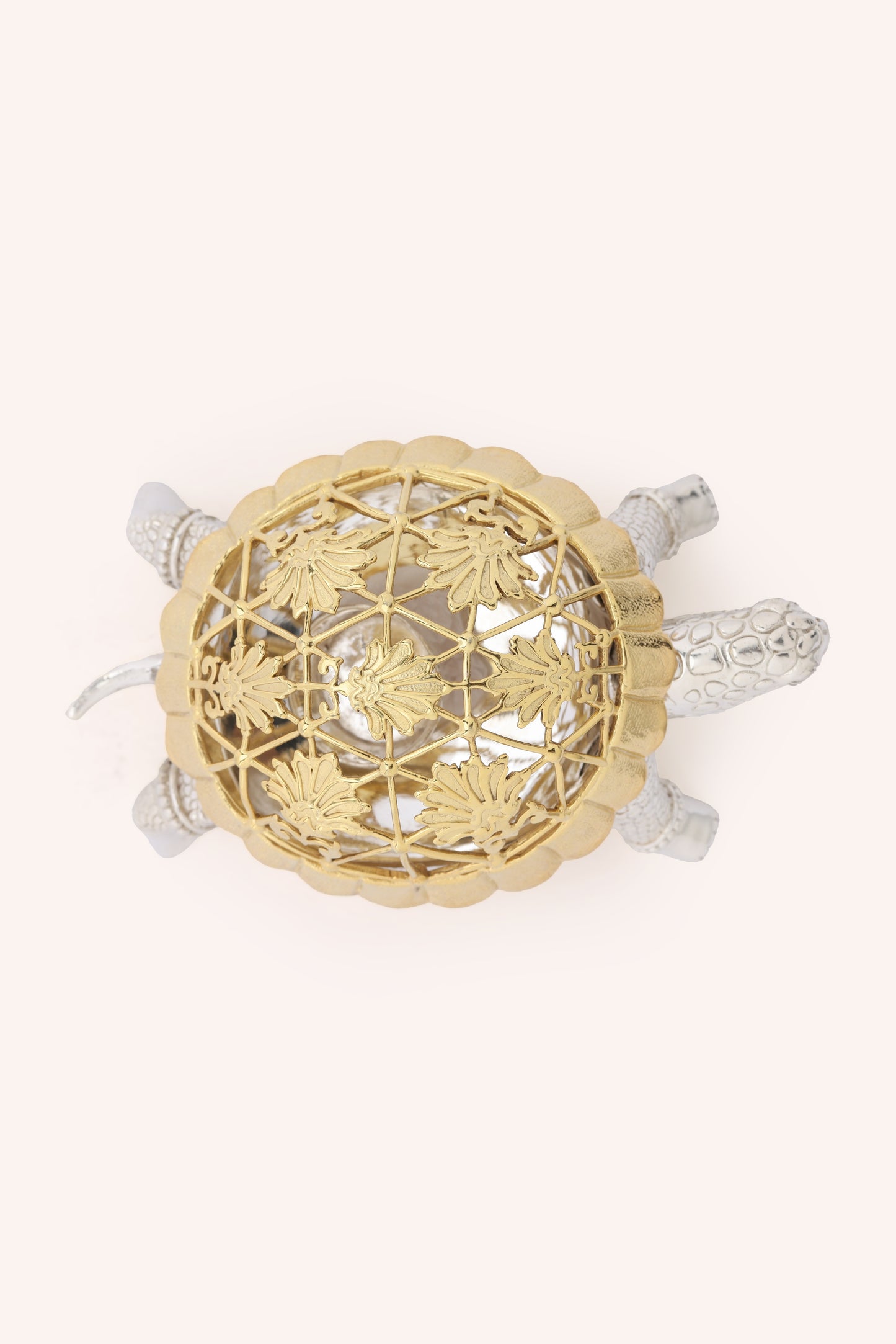 Kurm Tortoise Dhoop Dani