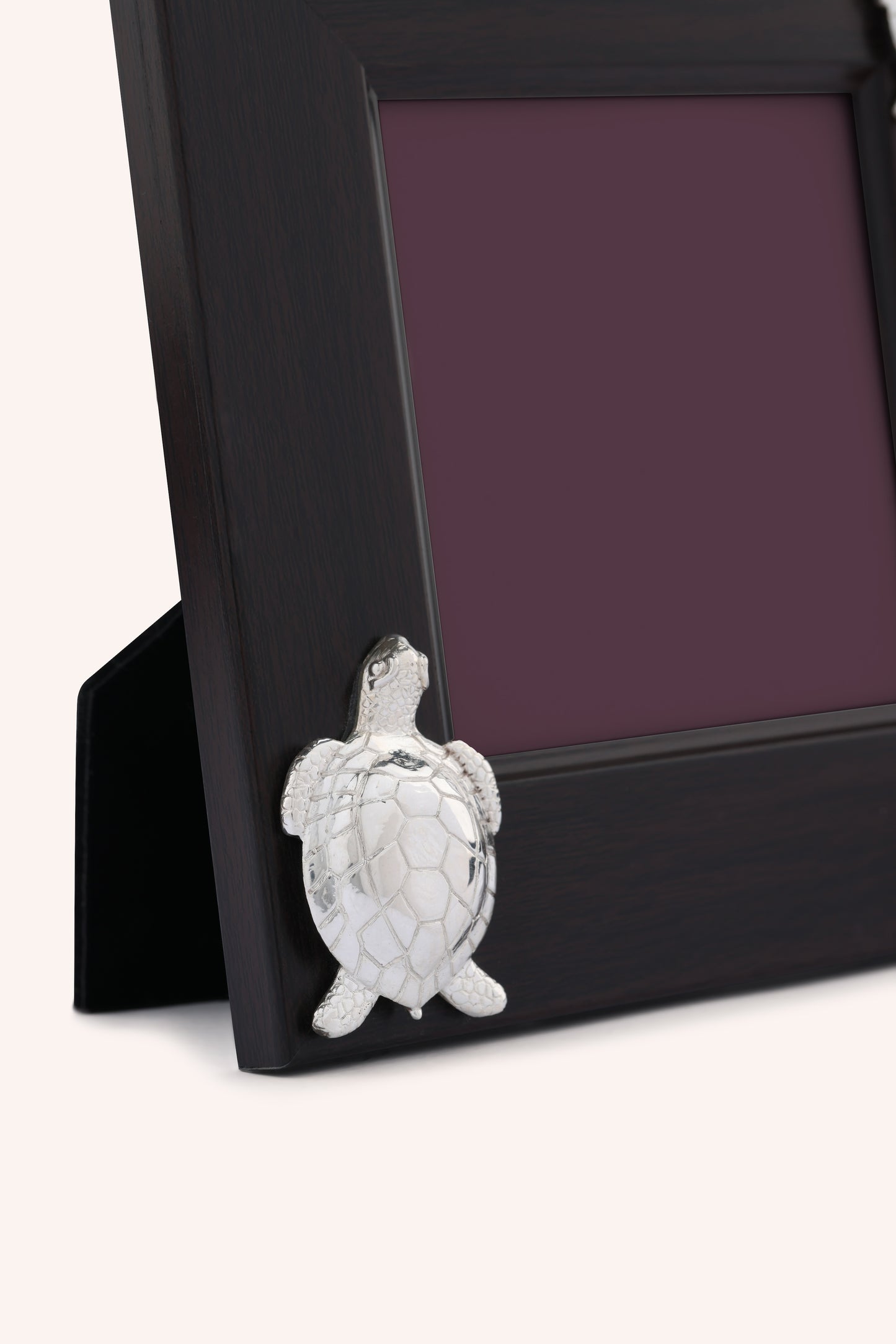 Olive Ridley