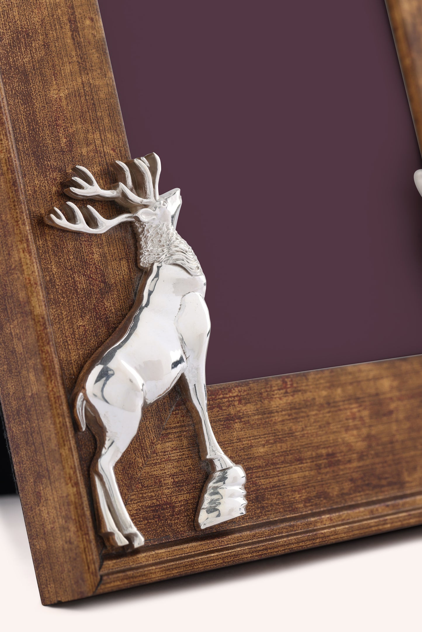 Reindeer