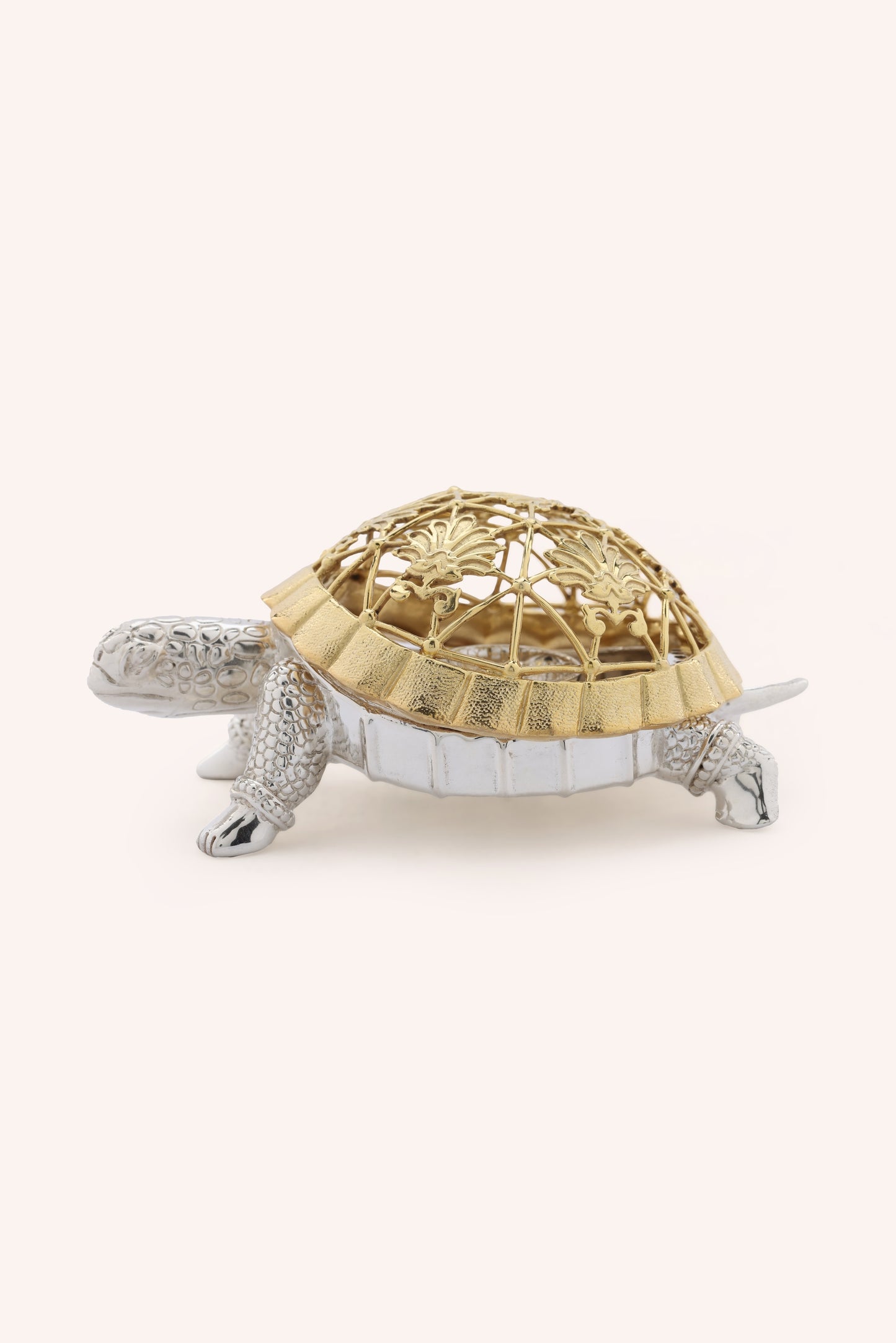 Kurm Tortoise Dhoop Dani