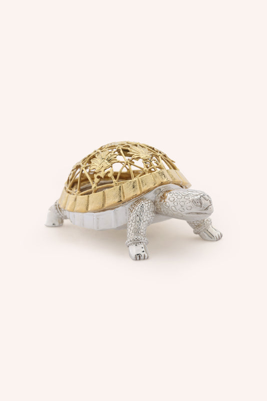 Kurm Tortoise Dhoop Dani