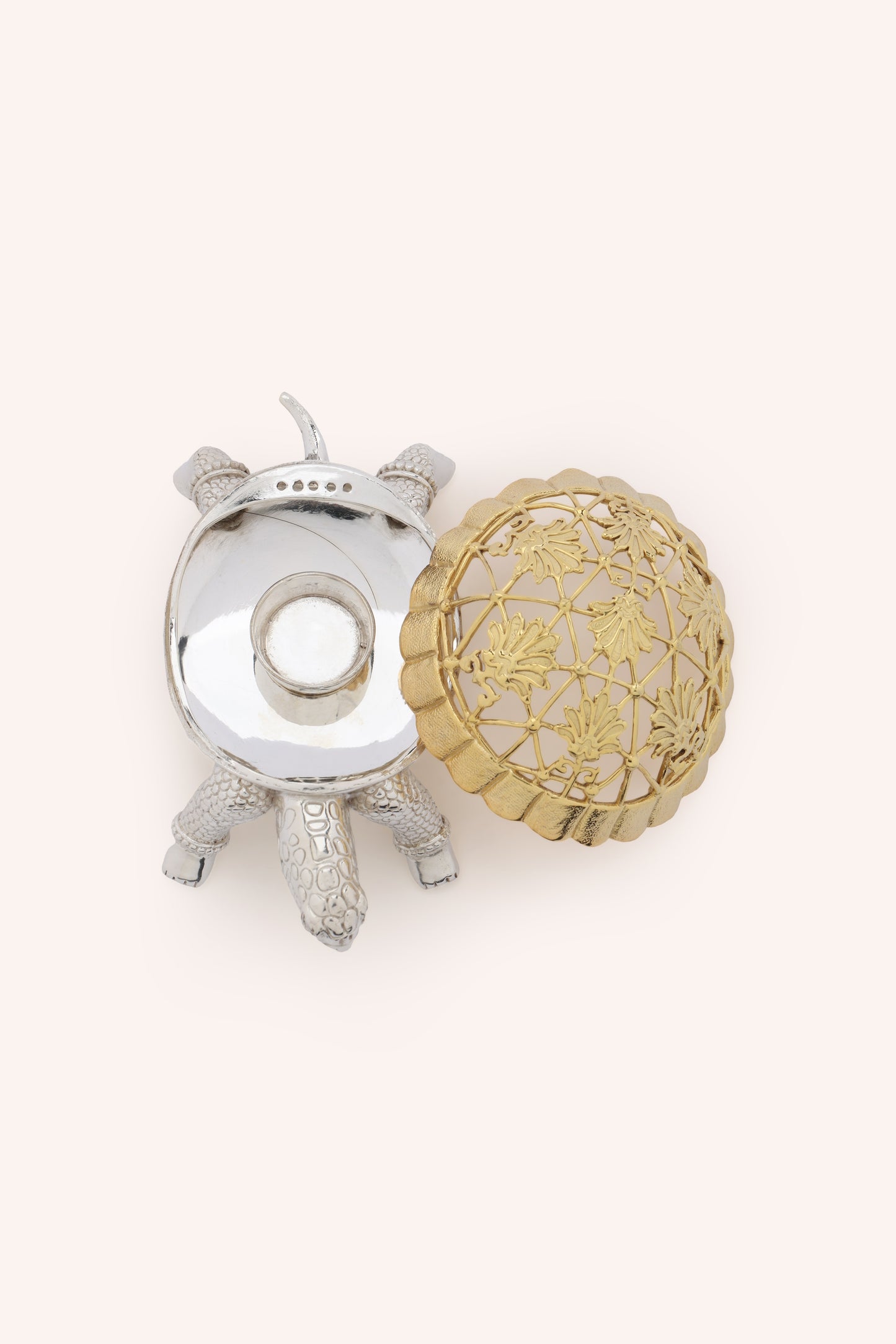 Kurm Tortoise Dhoop Dani