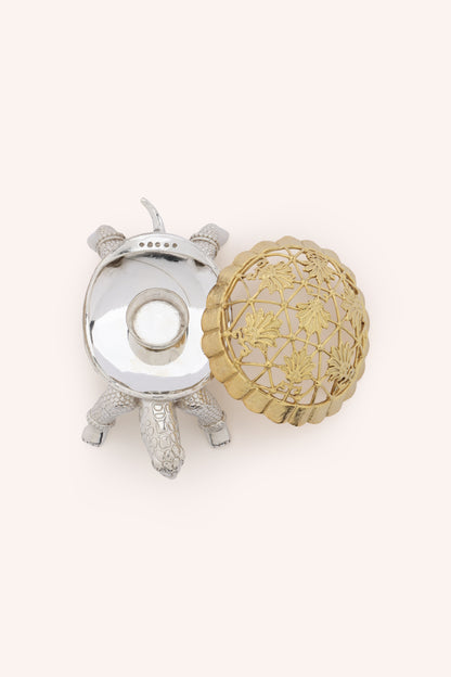 Kurm Tortoise Dhoop Dani