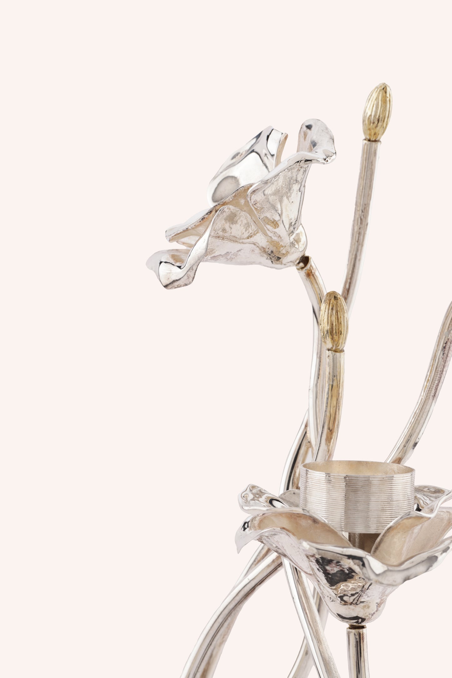 Anemone Candle Stand