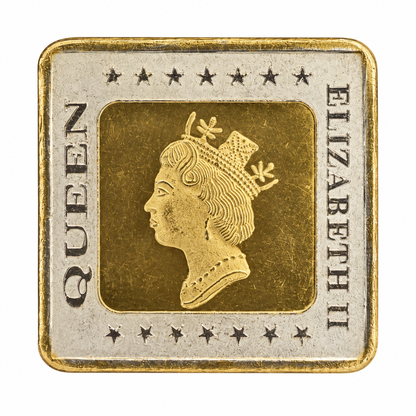 Queen Elizabeth 25gm Silver Coin | Limited to 1 Piece | 999 Pure (Copy)